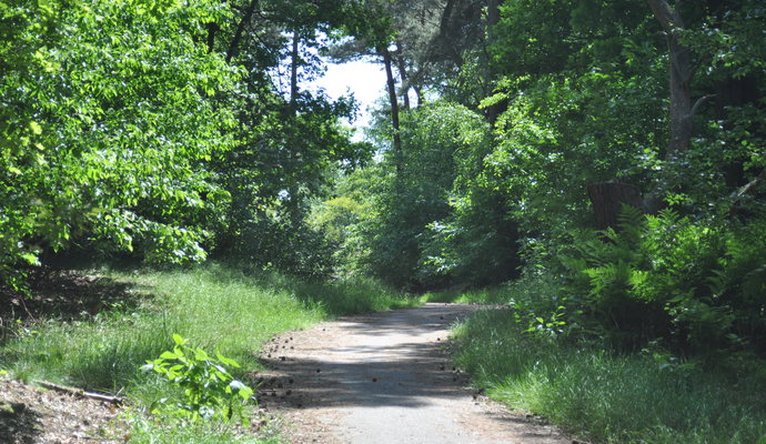 Fietspad Leenderbos